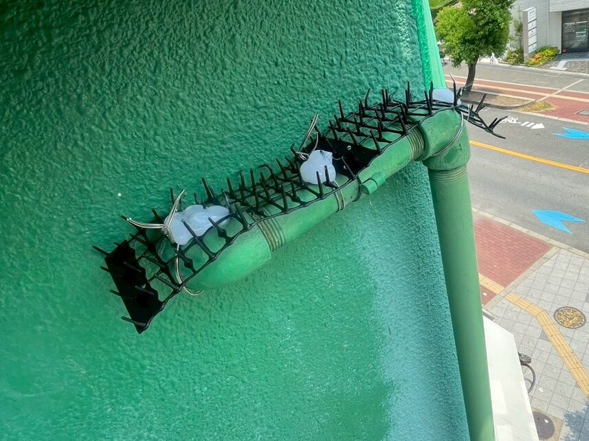 鳥除け工事